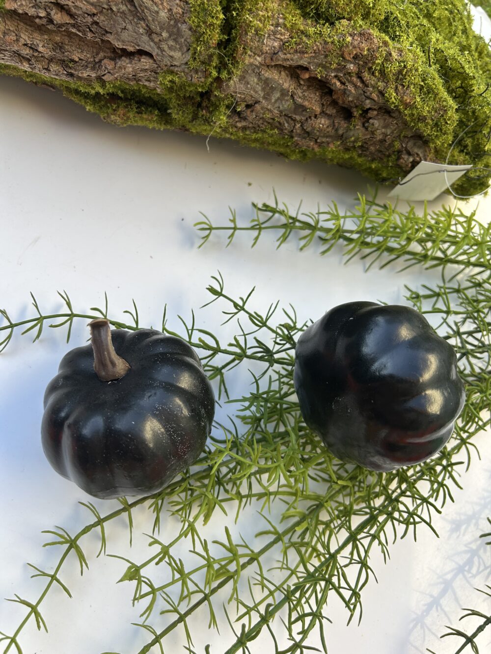 Гарбуз чорний