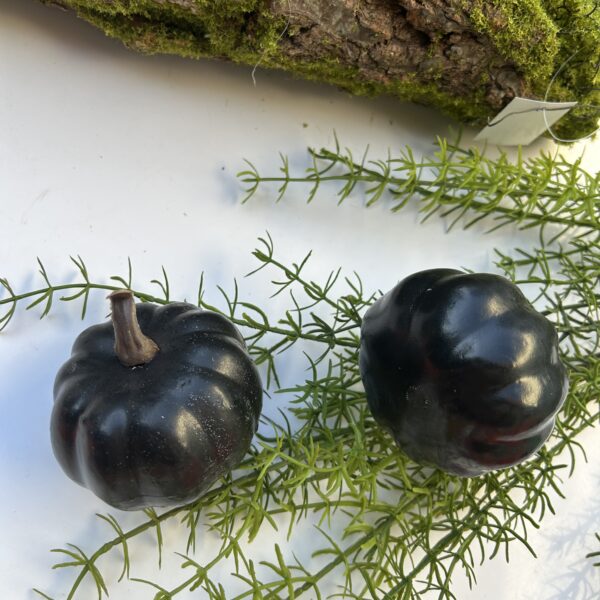 Гарбуз чорний