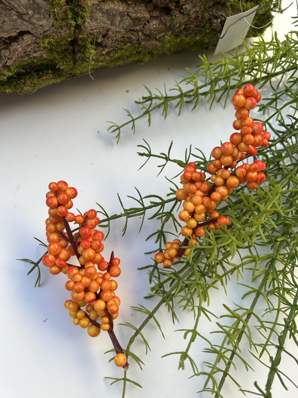 Ягоди на стеблі