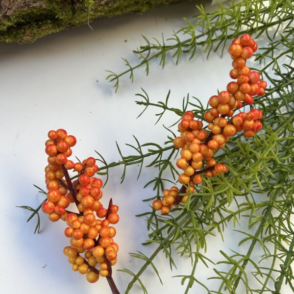 Ягоди на стеблі