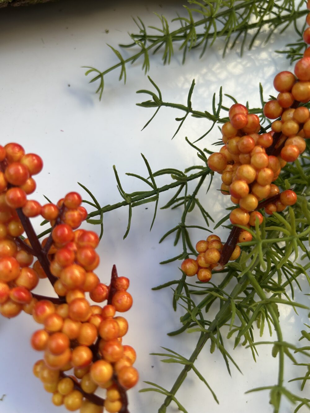 Ягоди на стеблі - Зображення 4