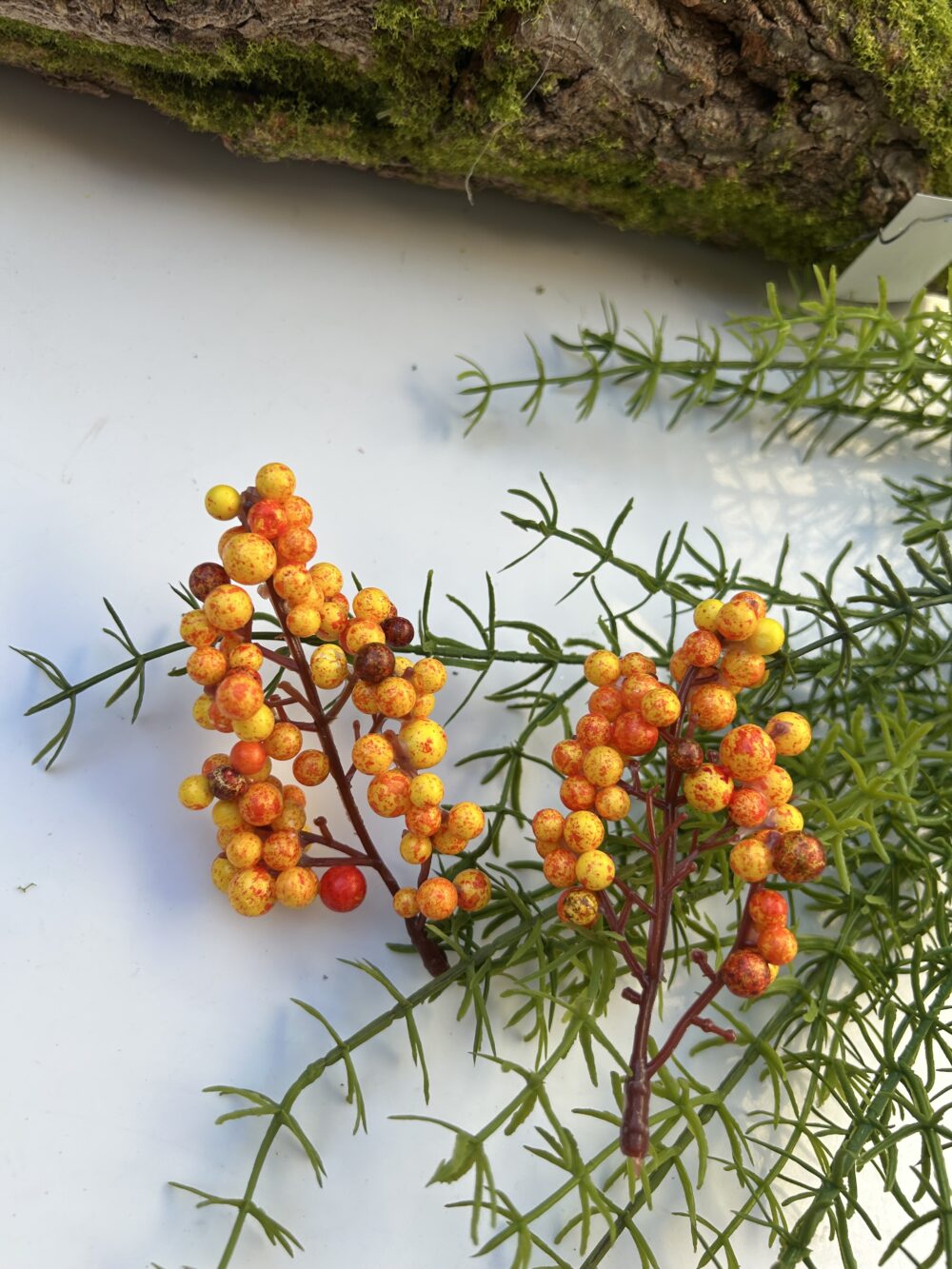 Ягоди на стеблі