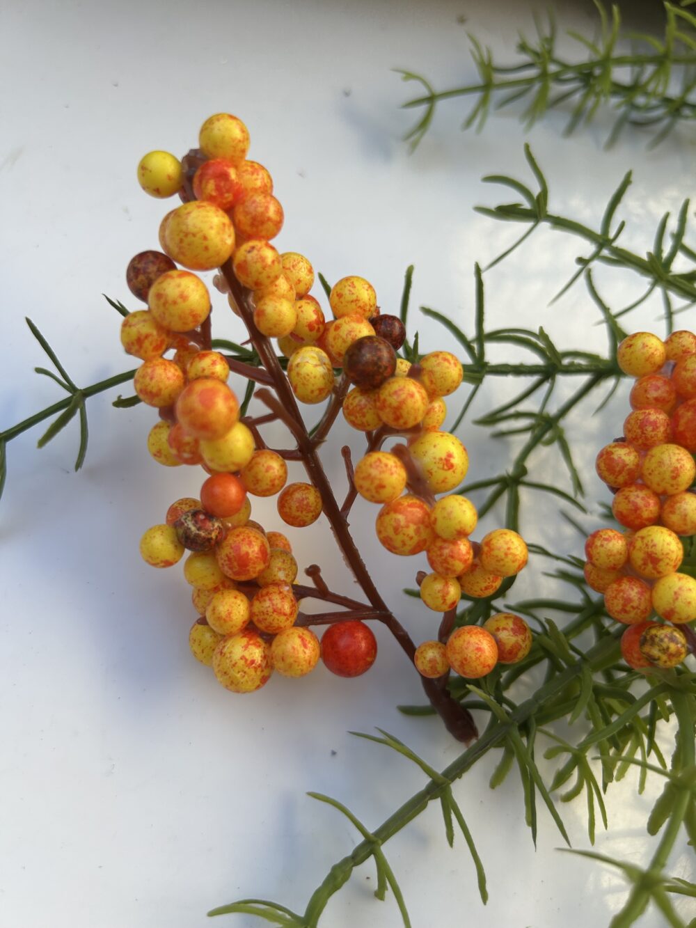 Ягоди на стеблі - Зображення 4