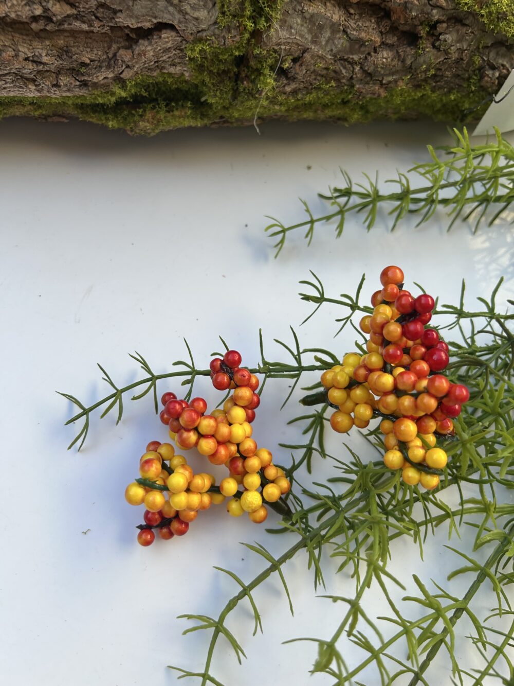 Ягоди на стеблі