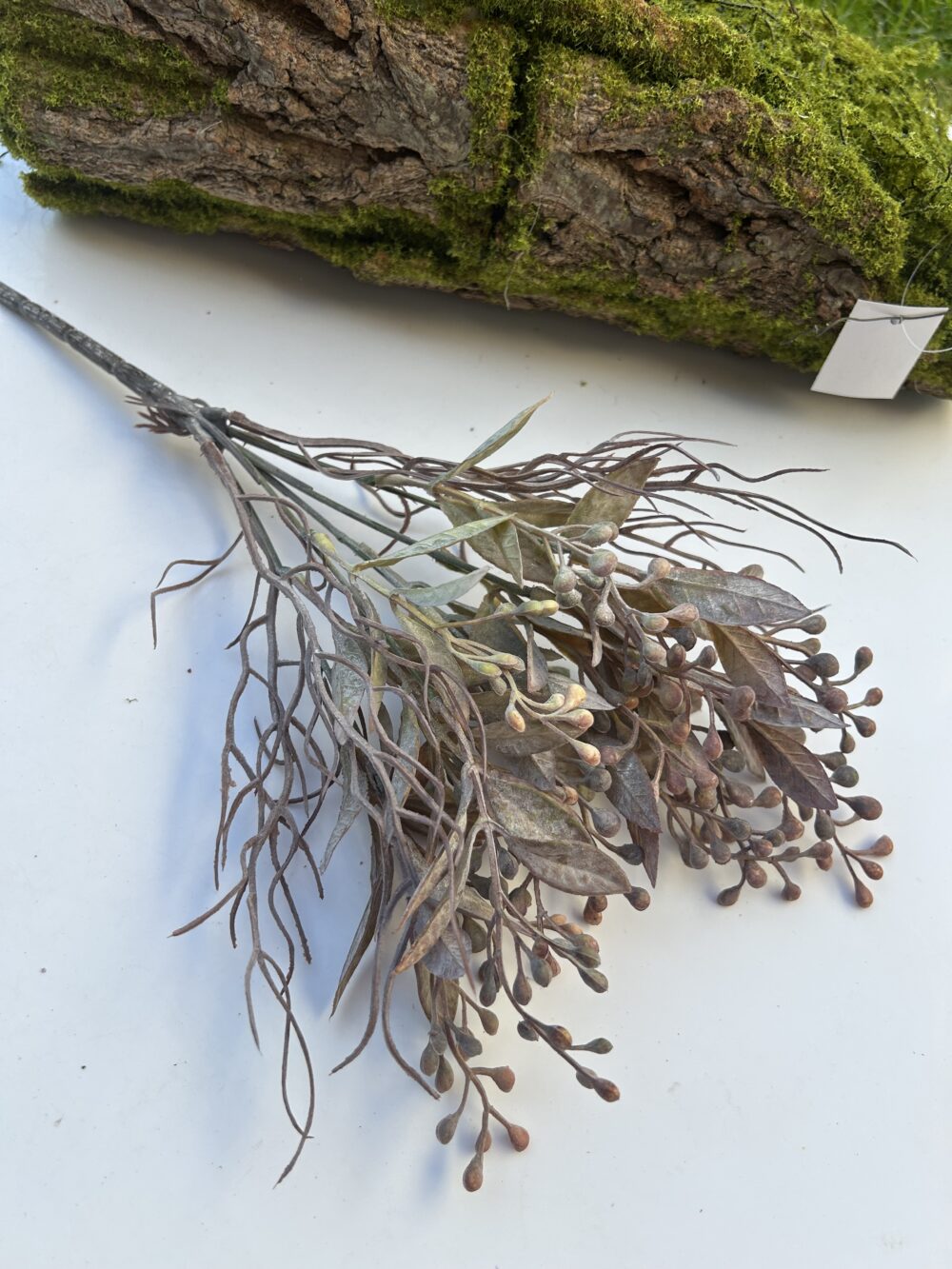 Обліпіха моко