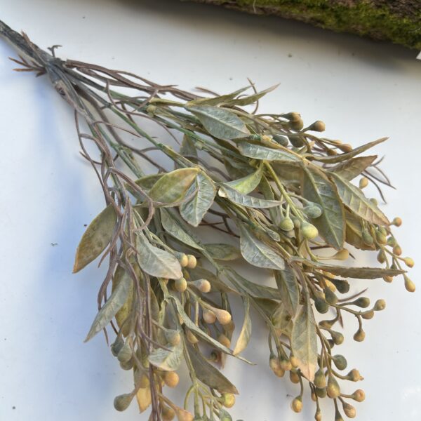 Обліпіха охра