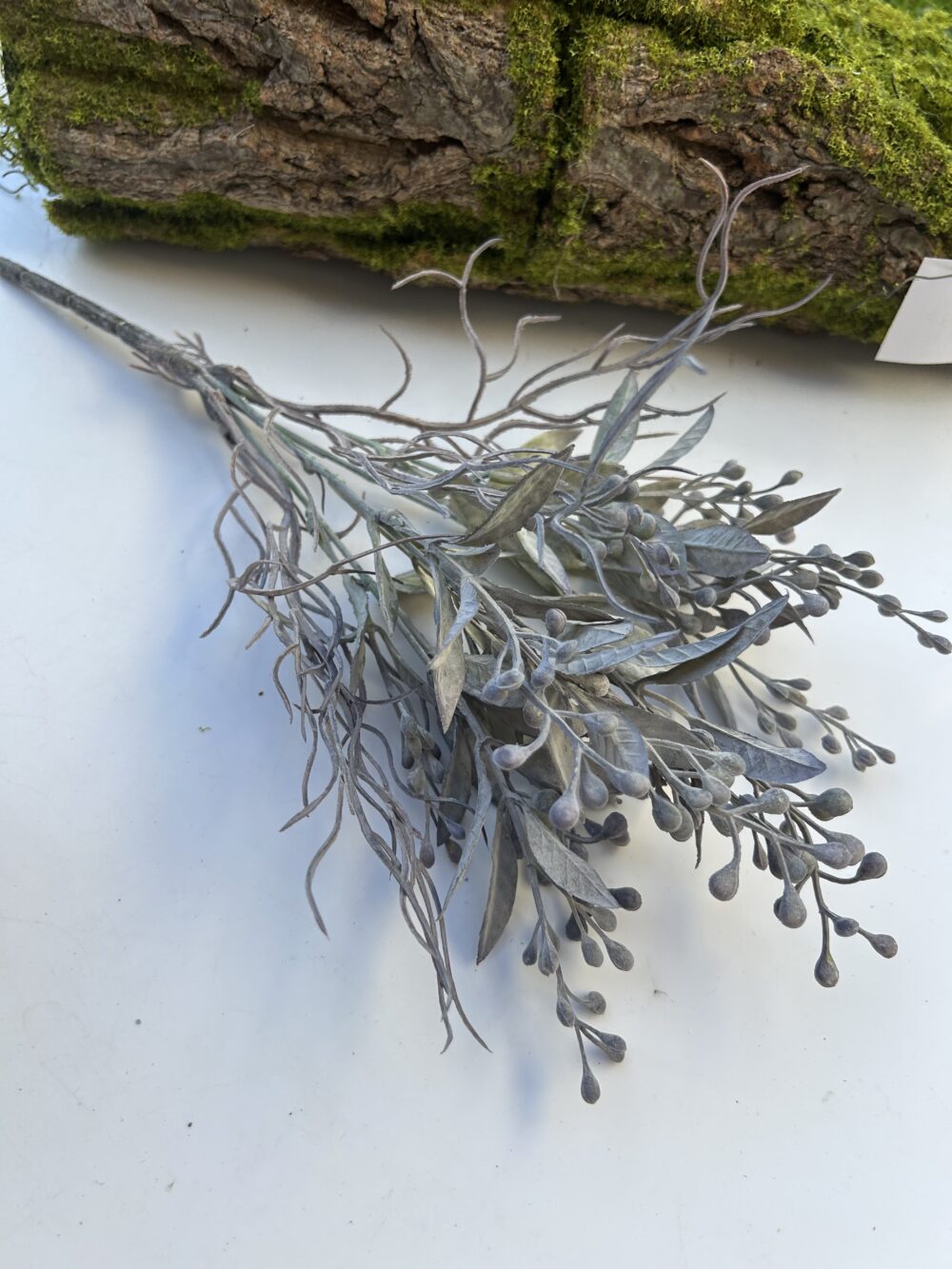 Обліпіха фіалкова