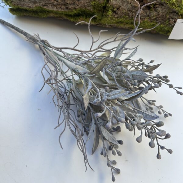 Обліпіха фіалкова