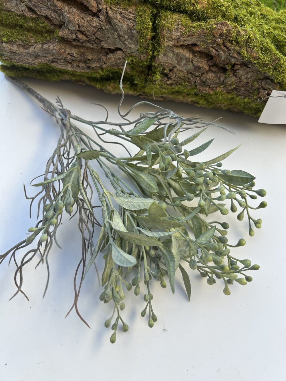 Обліпіха зенена