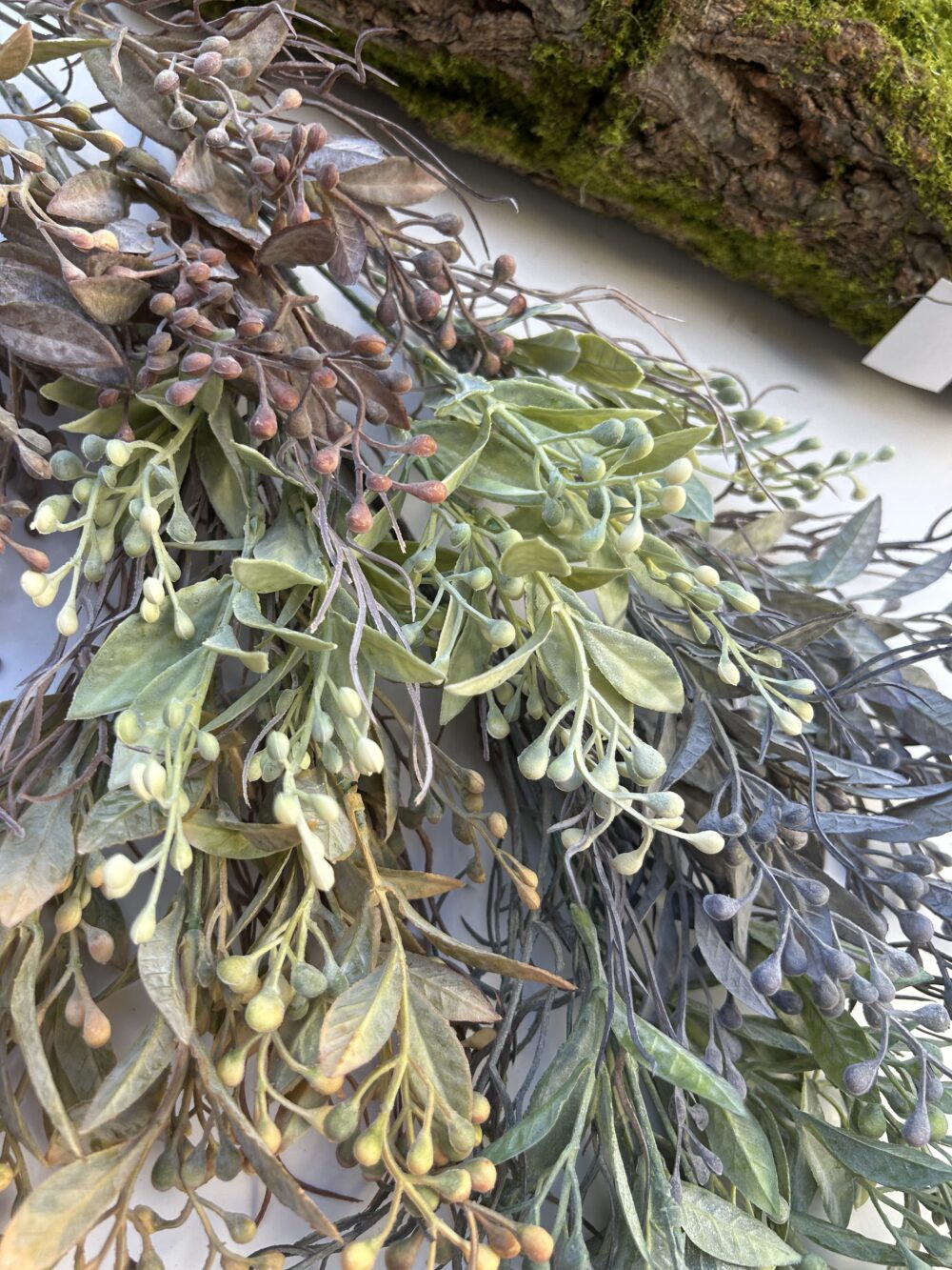 Обліпіха моко - Зображення 2