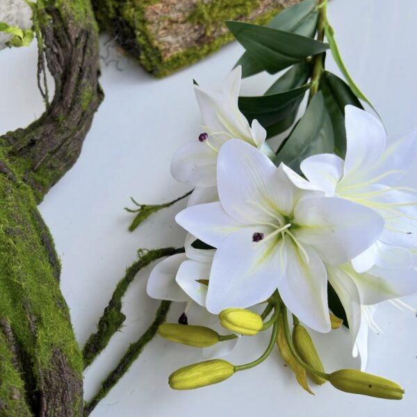 Лілія королівська гелева біла