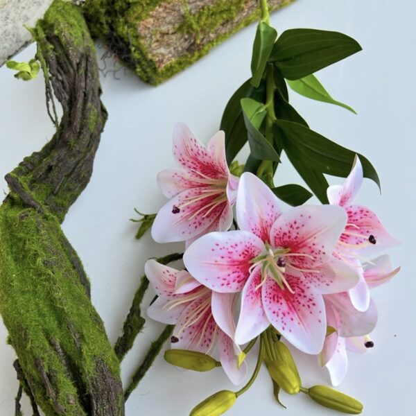 Лілія королівська гелева рожево- тигрова