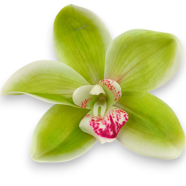 Цимбидіум зелений