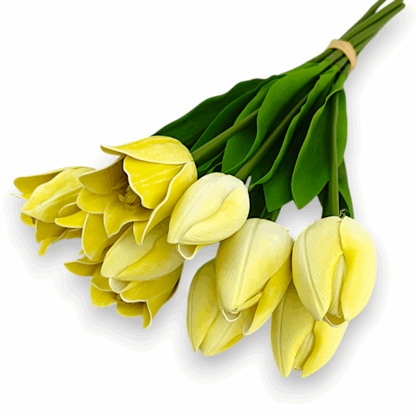 Тюльпан Real tach жовтий