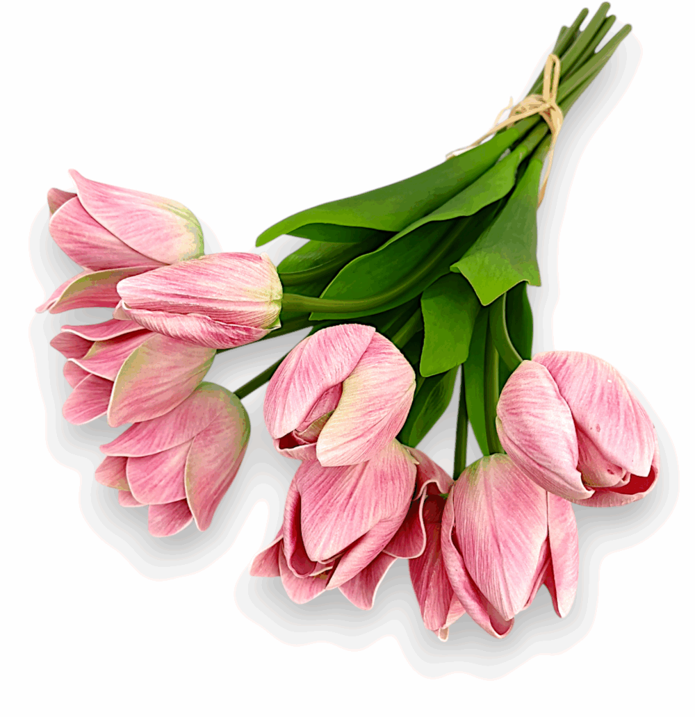 Тюльпан Real tach рожевий