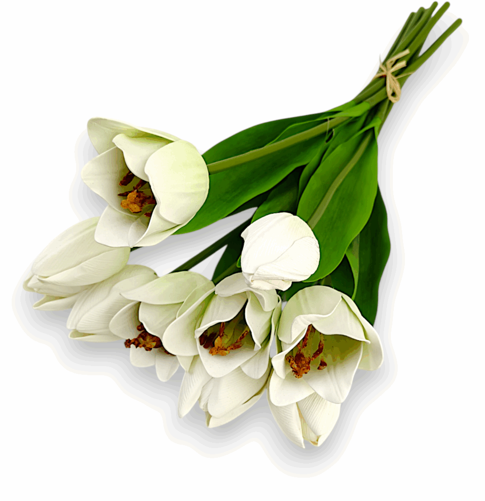 Тюльпан Real tach біло-зелений