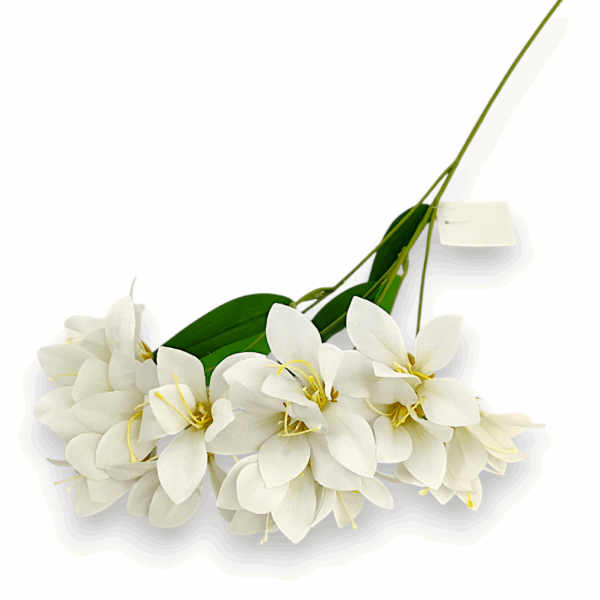 Гелева фрезія біла