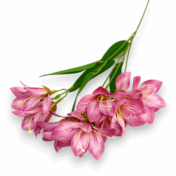 Гелева фрезія малинова