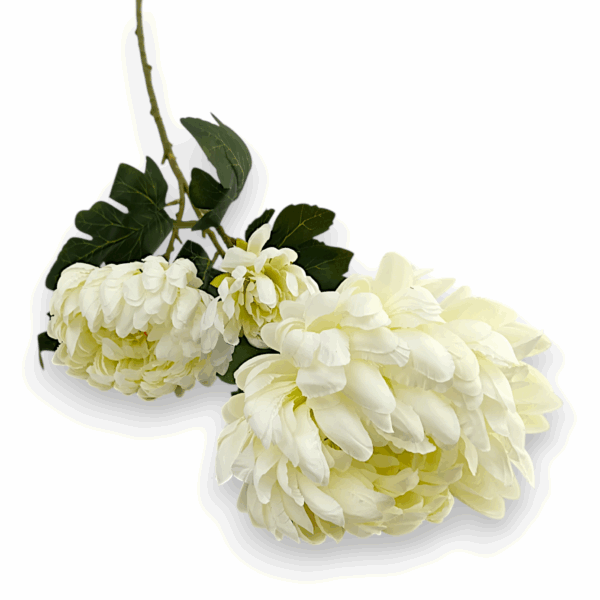 Хризантема букетна біла