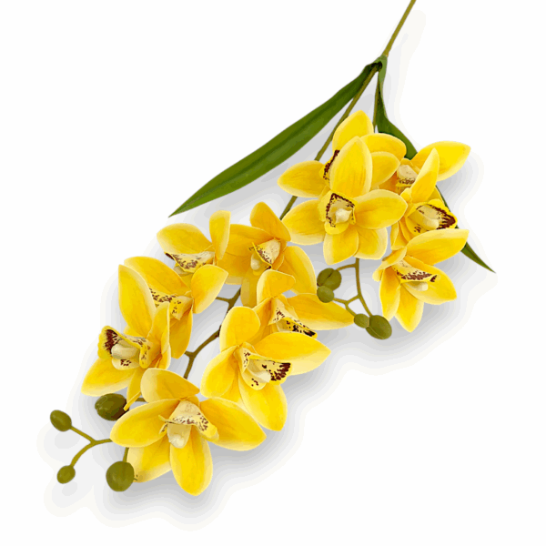 Цимбидіум  жовтий кущовий королівський