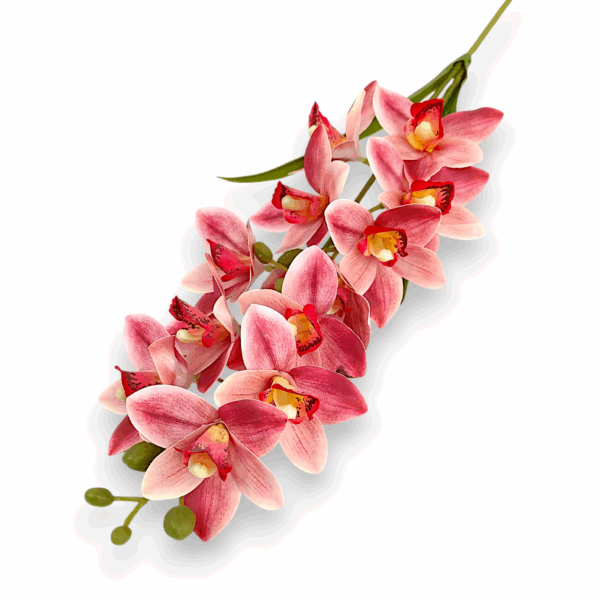 Цимбидіум  червоний кущовий королівський