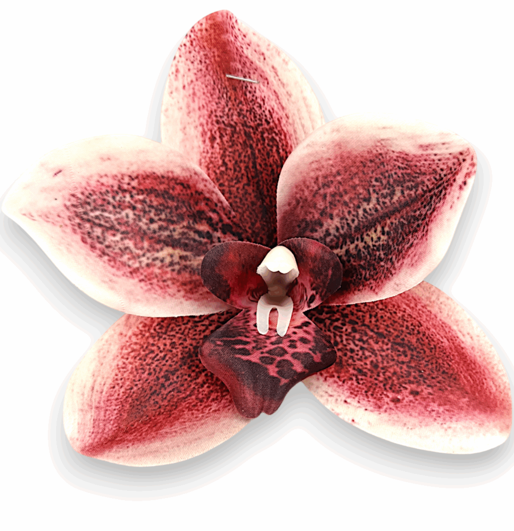 Цимбидіум червоний