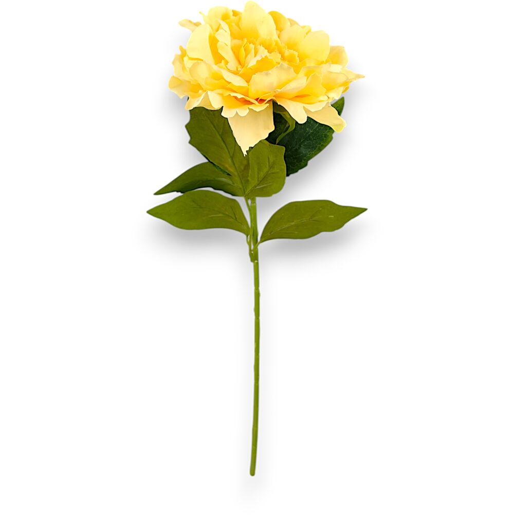 Піон одиночний жовтий