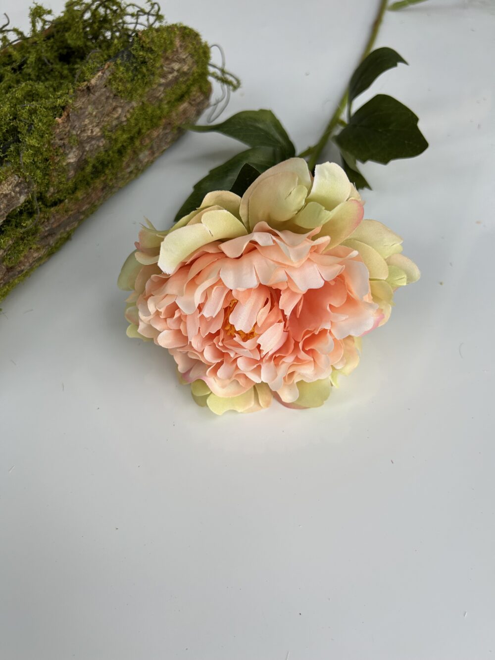 Штучний піон одиночний амбре