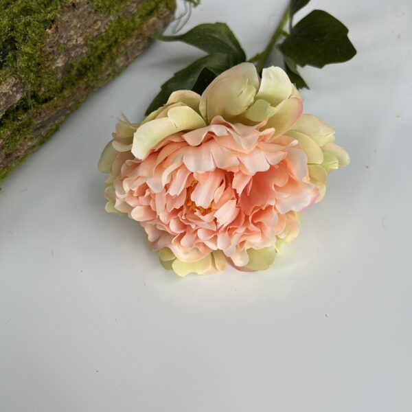 Штучний піон одиночний амбре