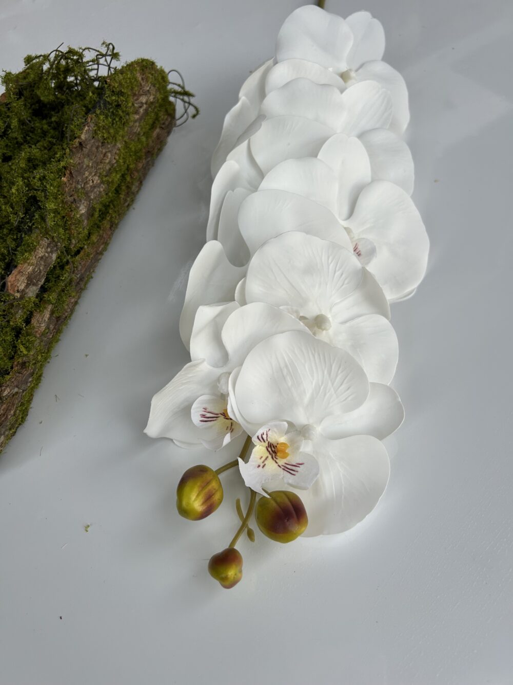 Орхідея Ріал Тач