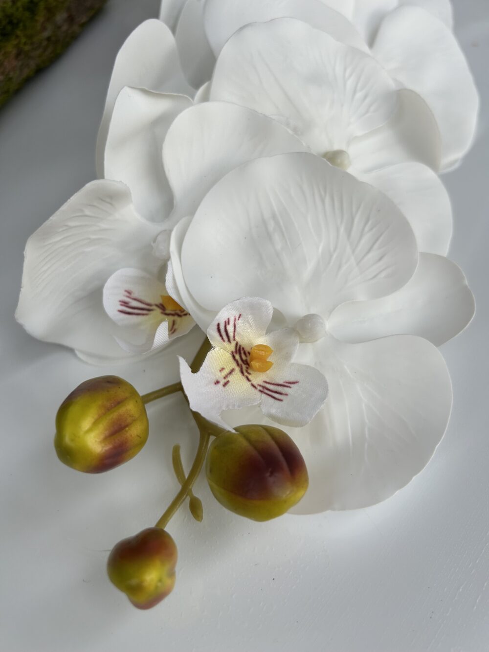 Орхідея Ріал Тач - Зображення 3