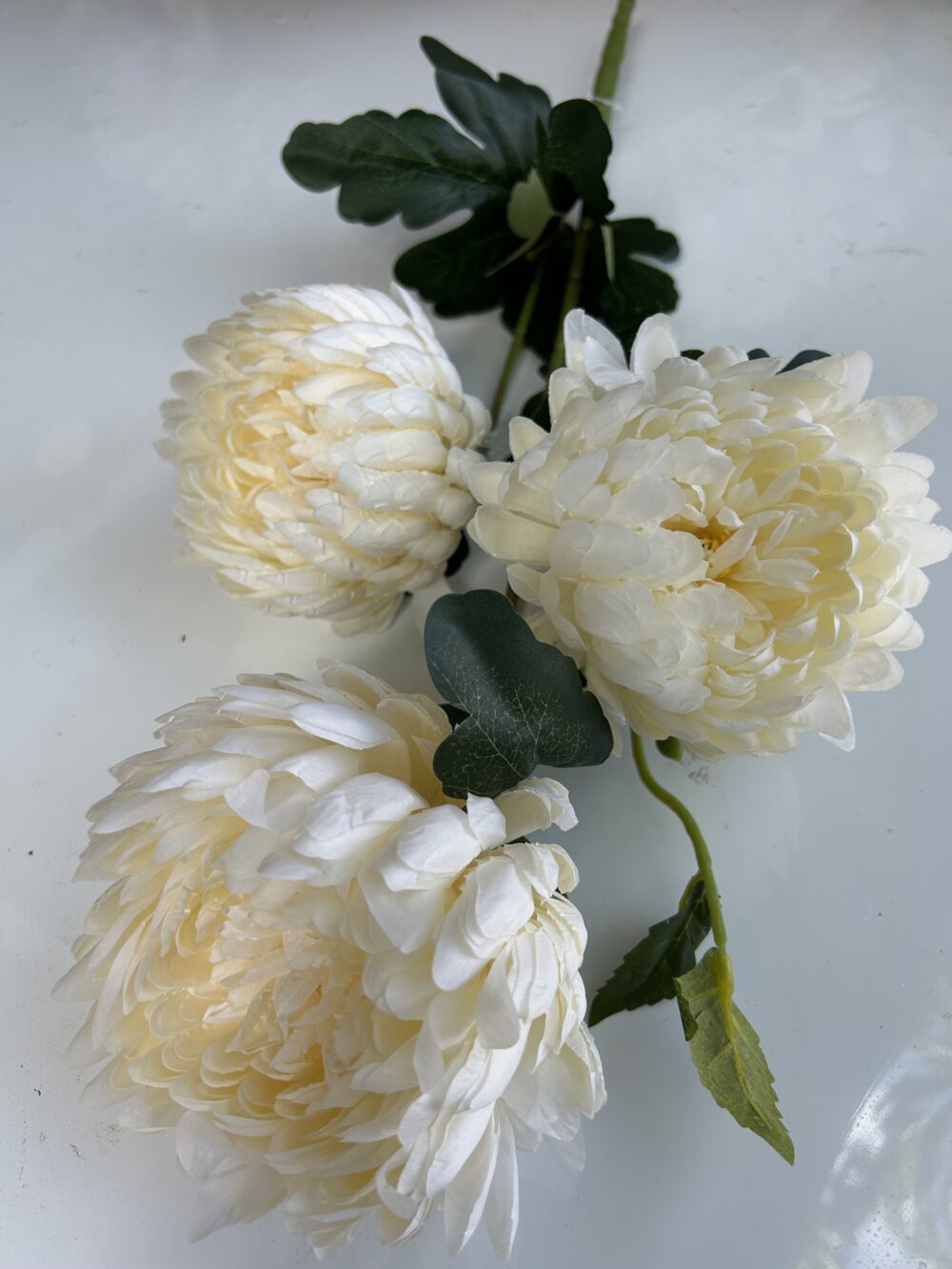 Хризантема букетна