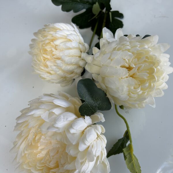 Хризантема букетна