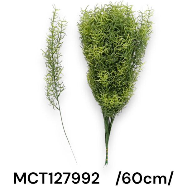 Аспарагус штучний