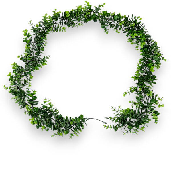 Самшитова ліана штучна