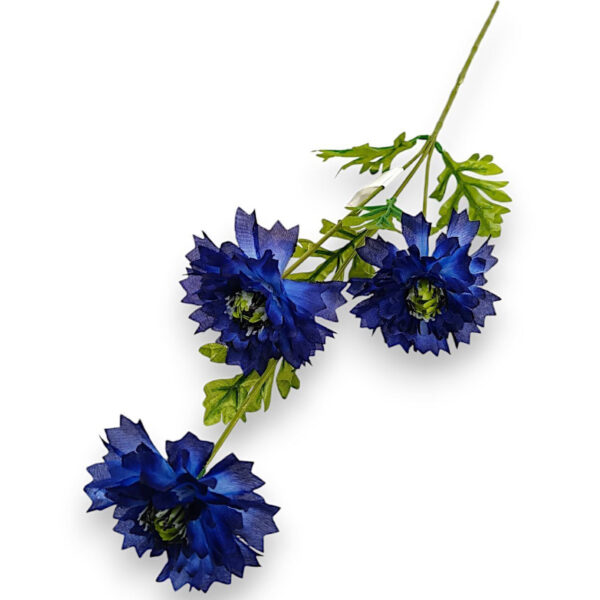 Польові квіти