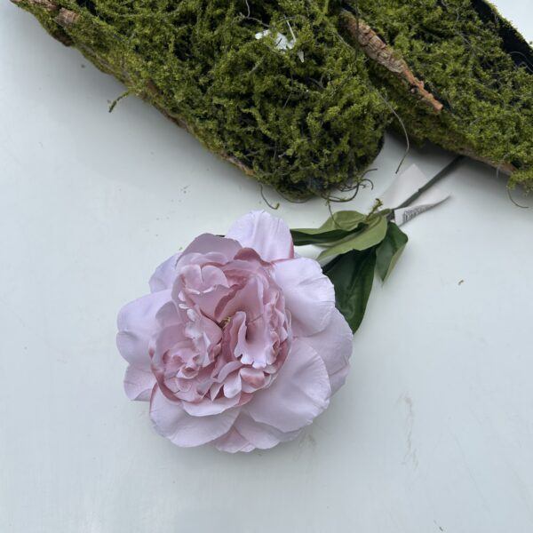 Піон штучний пудровий