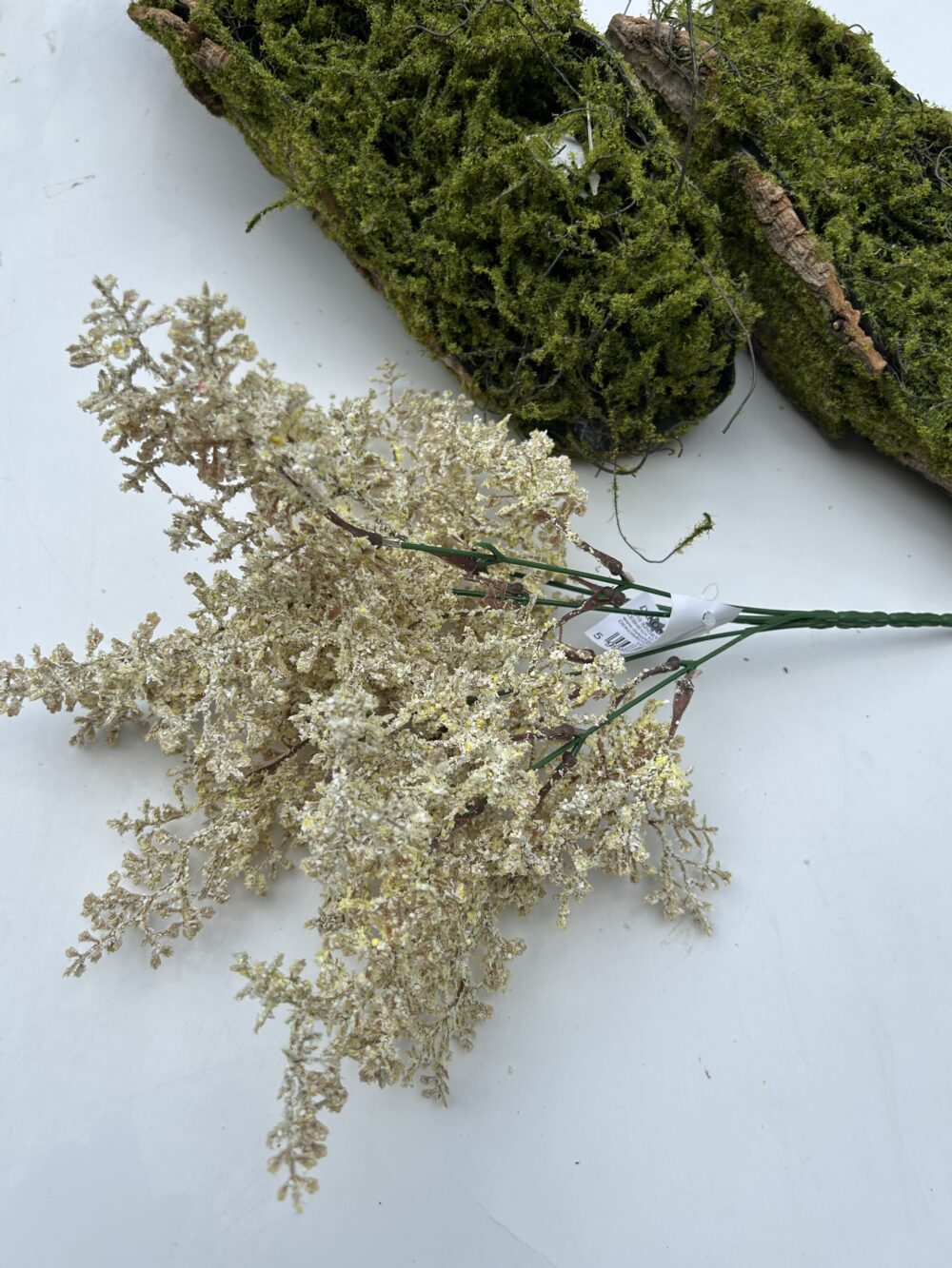 Кермек штучний шампань