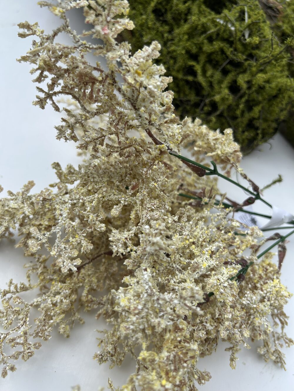 Кермек штучний шампань - Зображення 2