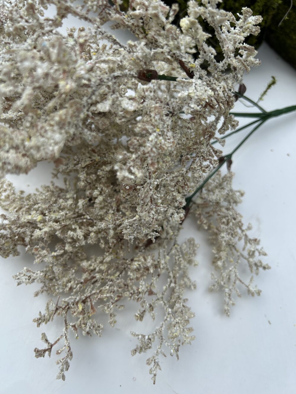 Кермек штучний білий