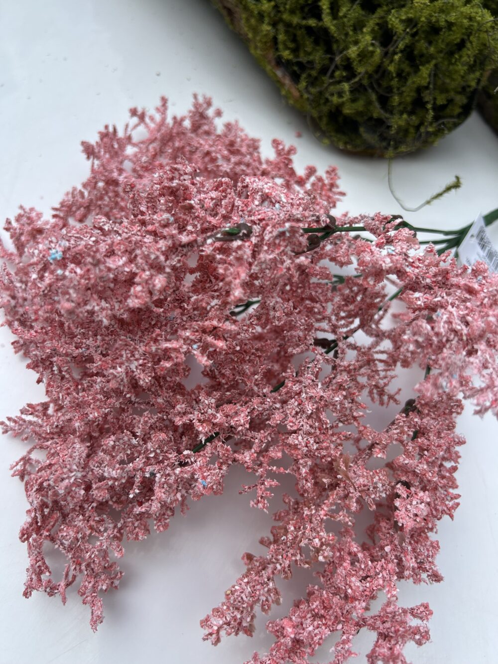 Кермек штучний рожевий - Зображення 3