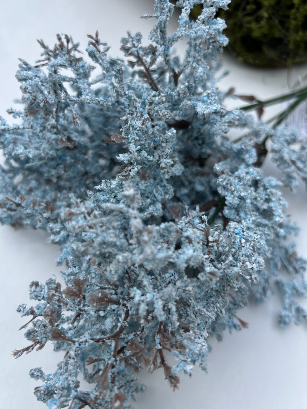 Кермек штучний голубий - Зображення 3