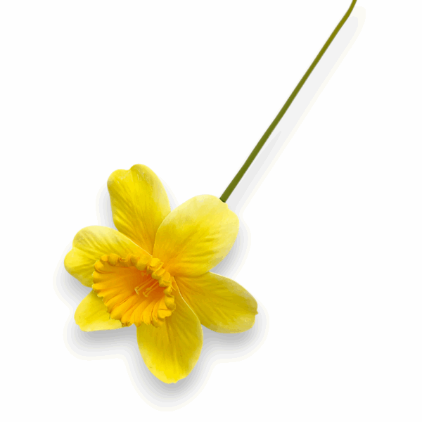 Нарцис гелевий штучний