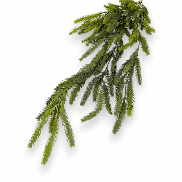 Карпатська ялинка