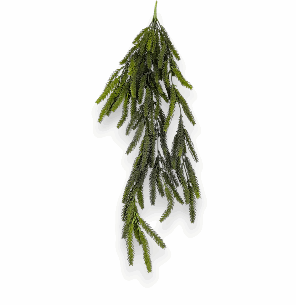 Карпатська ялинка - Зображення 2