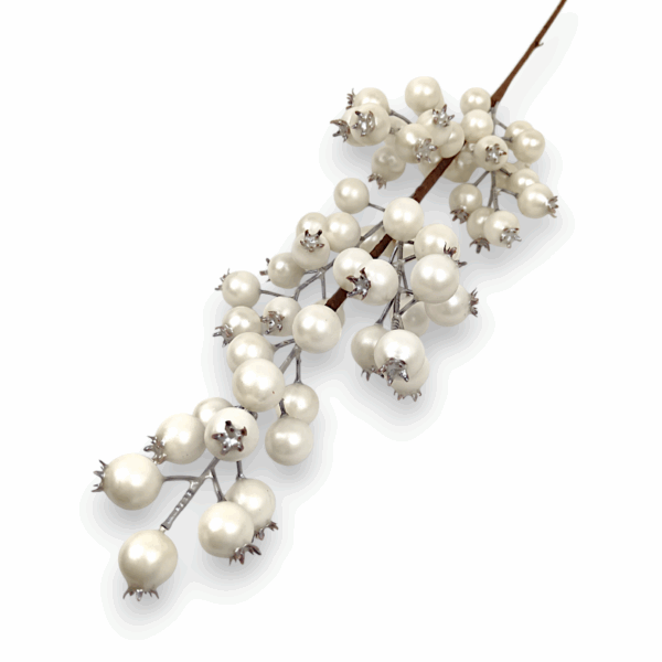 Шипшина біла штучна