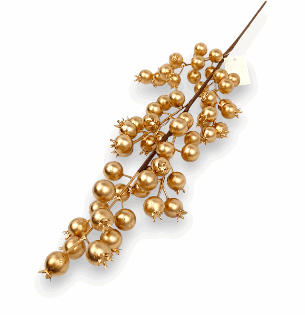 Шипшина золота штучна