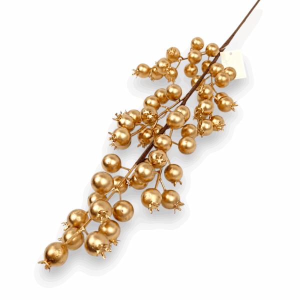 Шипшина золота штучна