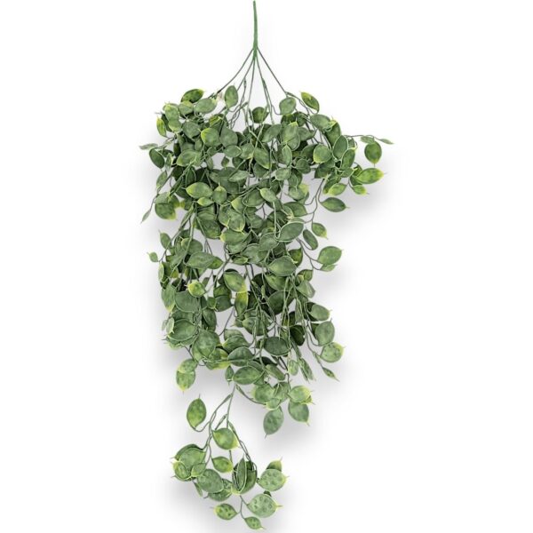 Декоративний лунарій