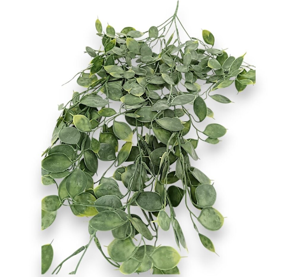 Декоративний лунарій - Зображення 2